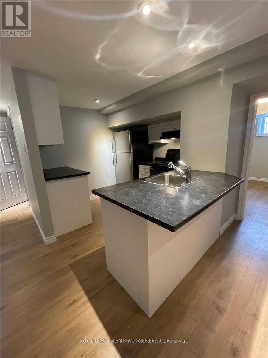 56 Mcintyre Crescent, Halton Hills, Ontario  L7G 1N3 - Photo 5 - W12571222