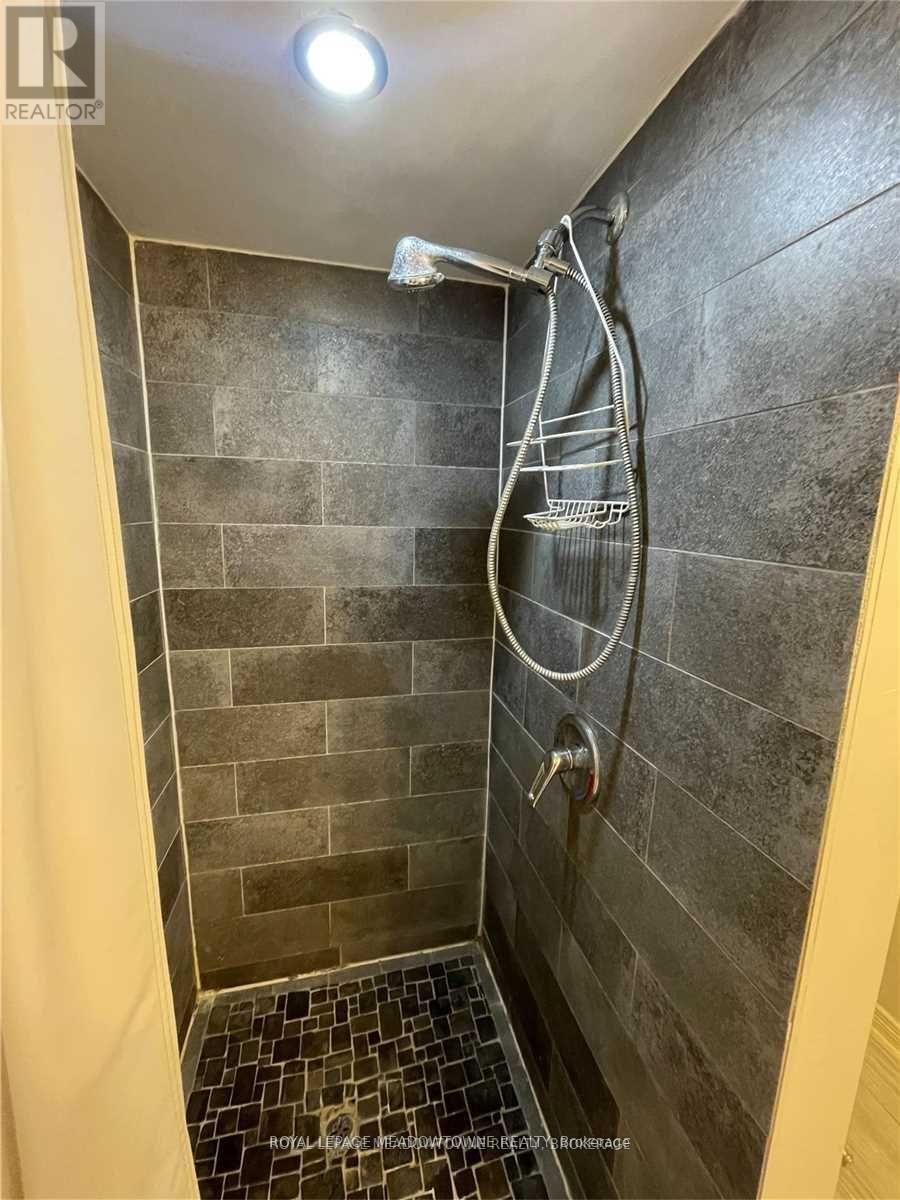 56 Mcintyre Crescent, Halton Hills, Ontario  L7G 1N3 - Photo 8 - W12571222