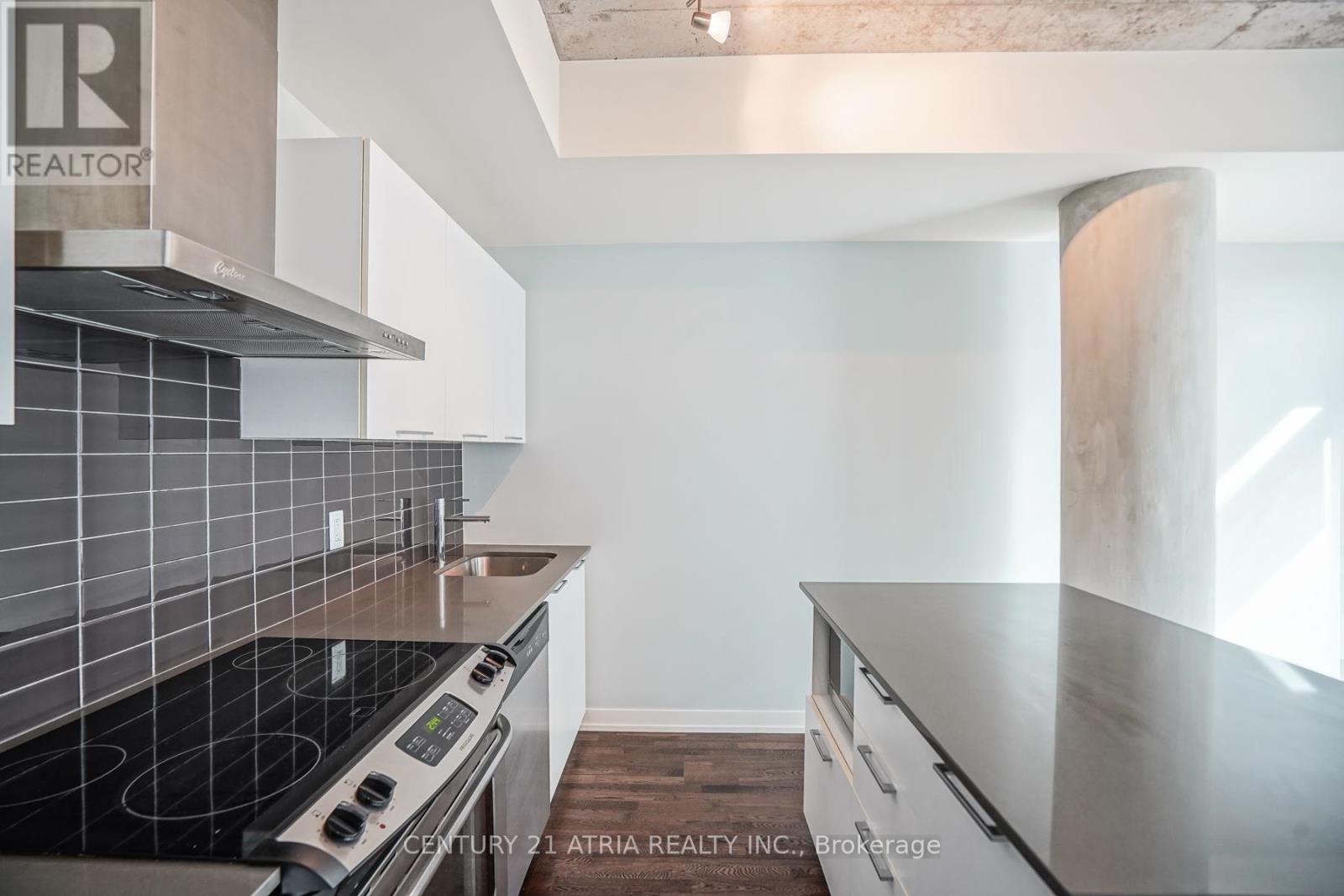 311 - 650 King Street W, Toronto, Ontario  M5V 0H6 - Photo 17 - C12571398