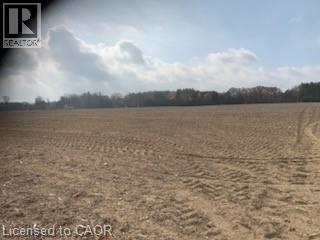 764 Forestry Road, Simcoe, Ontario  N0E 1P0 - Photo 2 - 40755005