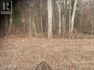 764 Forestry Road, Simcoe, Ontario  N0E 1P0 - Photo 4 - 40755005