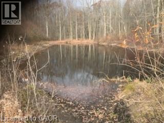 764 Forestry Road, Simcoe, Ontario  N0E 1P0 - Photo 5 - 40755005