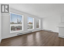3 - 215 DANFORTH AVENUE, Toronto, Ontario