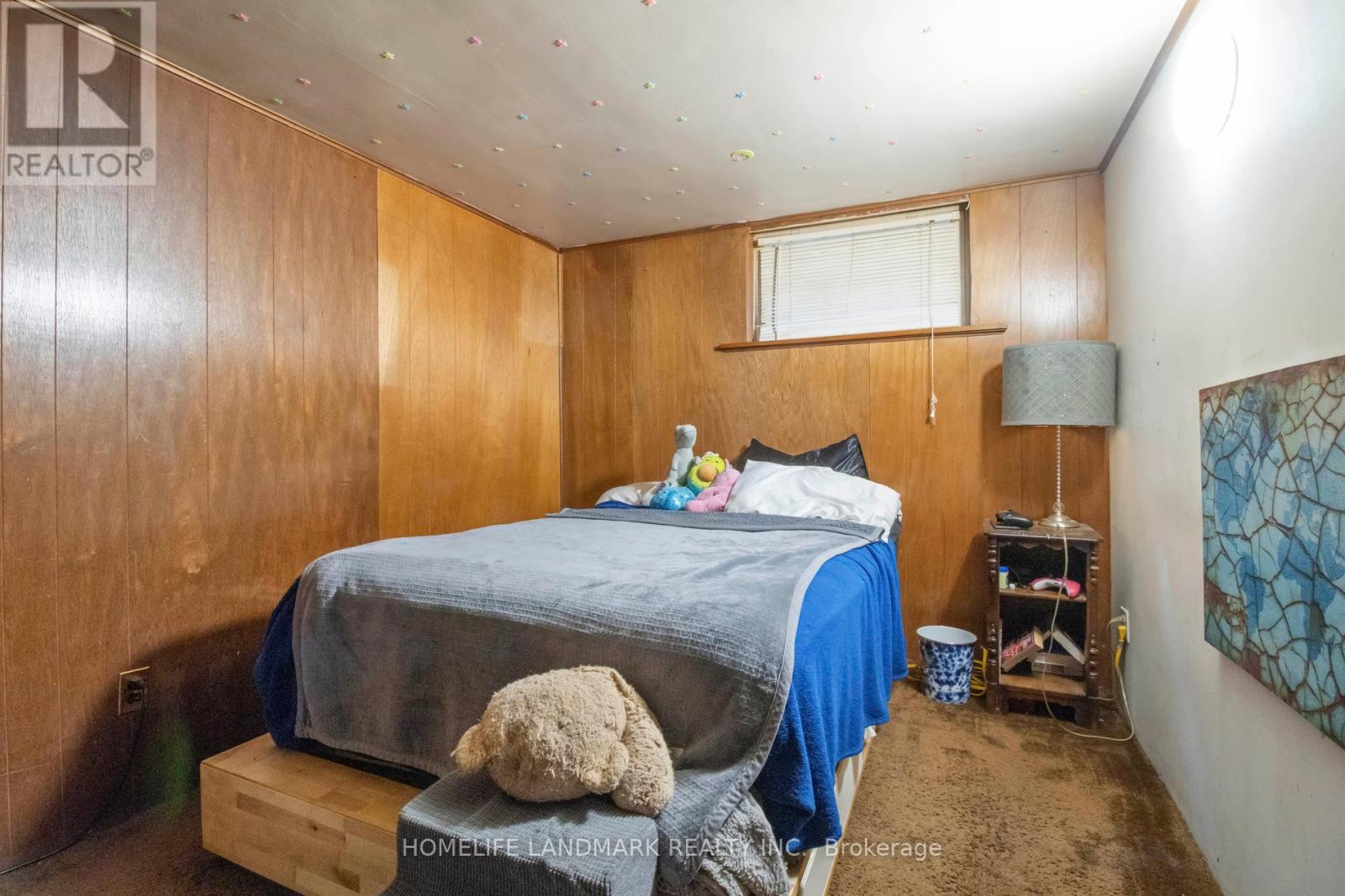 127 Lake Avenue, Richmond Hill, Ontario  L4E 3G5 - Photo 25 - N12571346