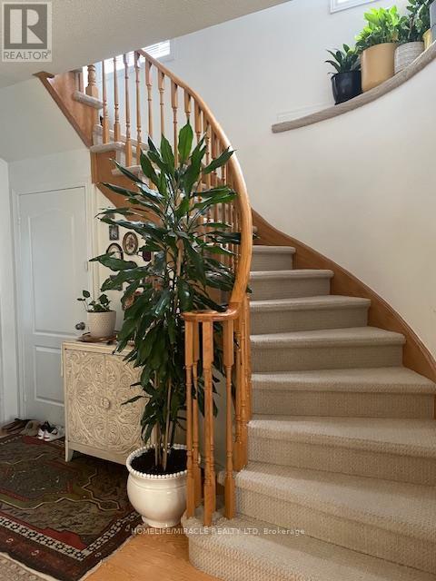 3480 Fountain Park Avenue, Mississauga, Ontario  L5M 7E5 - Photo 14 - W12571528