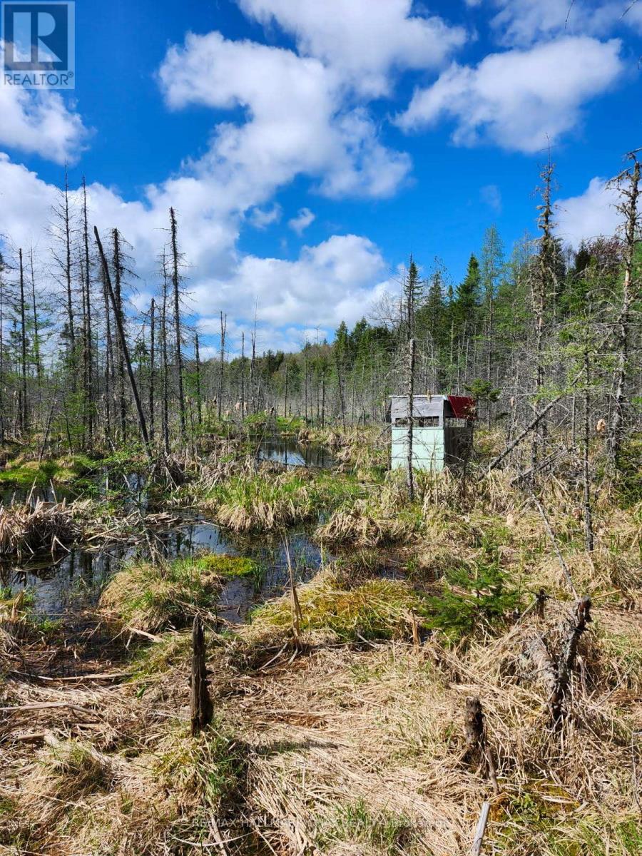 Pt Lots 24 & 25 Con 5 Concession, Ryerson, Ontario  P0A 1C0 - Photo 10 - X12571384