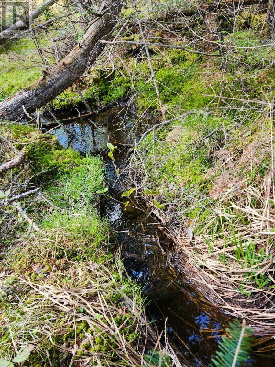 Pt Lots 24 & 25 Con 5 Concession, Ryerson, Ontario  P0A 1C0 - Photo 12 - X12571384