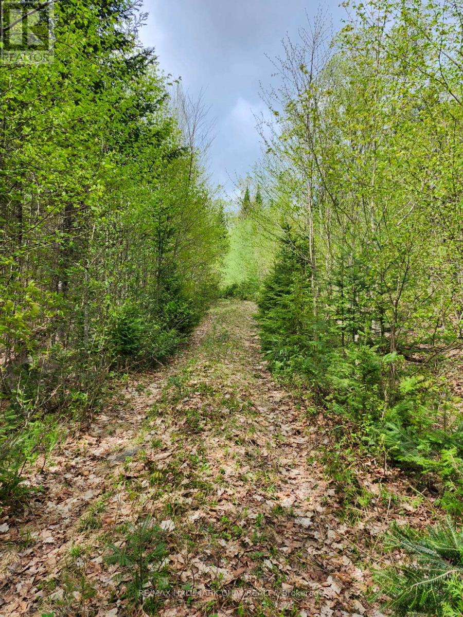 Pt Lots 24 & 25 Con 5 Concession, Ryerson, Ontario  P0A 1C0 - Photo 13 - X12571384