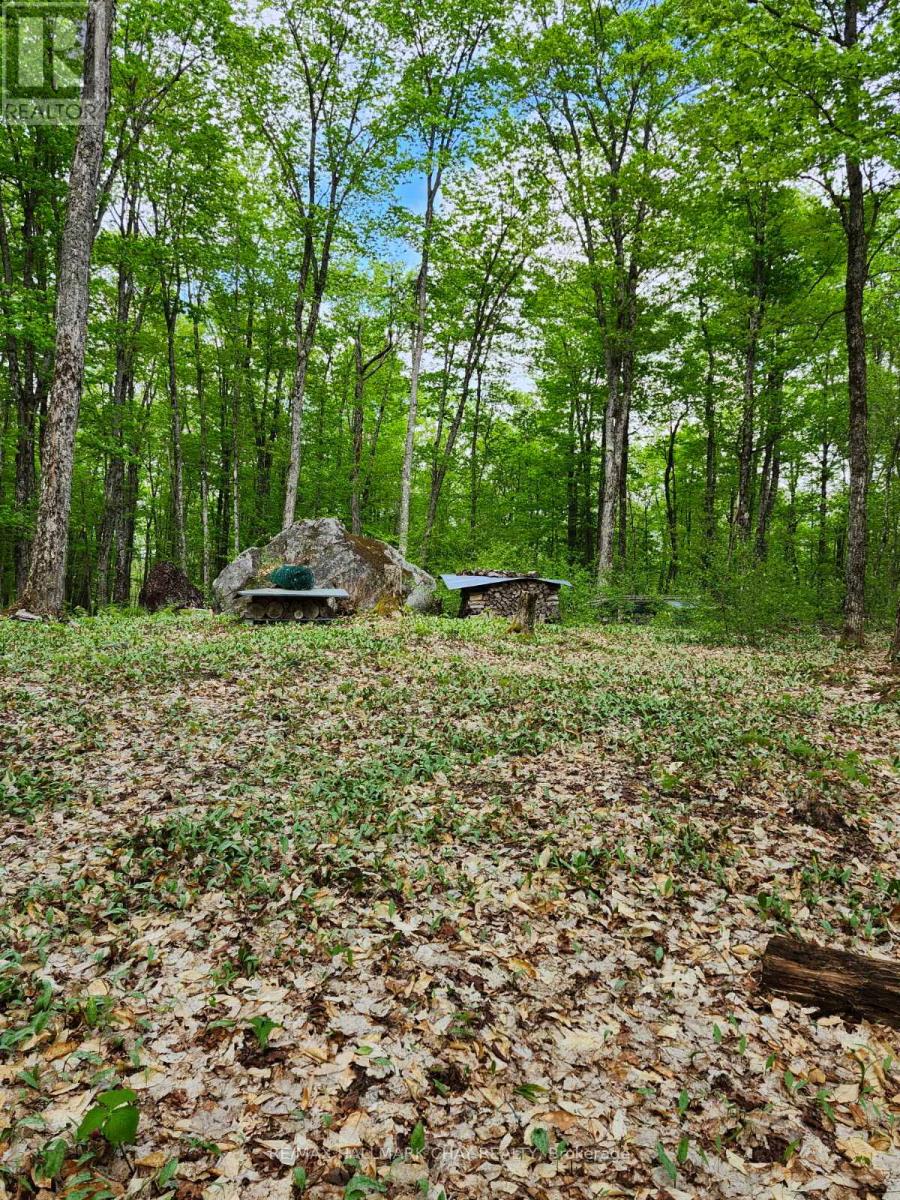 Pt Lots 24 & 25 Con 5 Concession, Ryerson, Ontario  P0A 1C0 - Photo 14 - X12571384