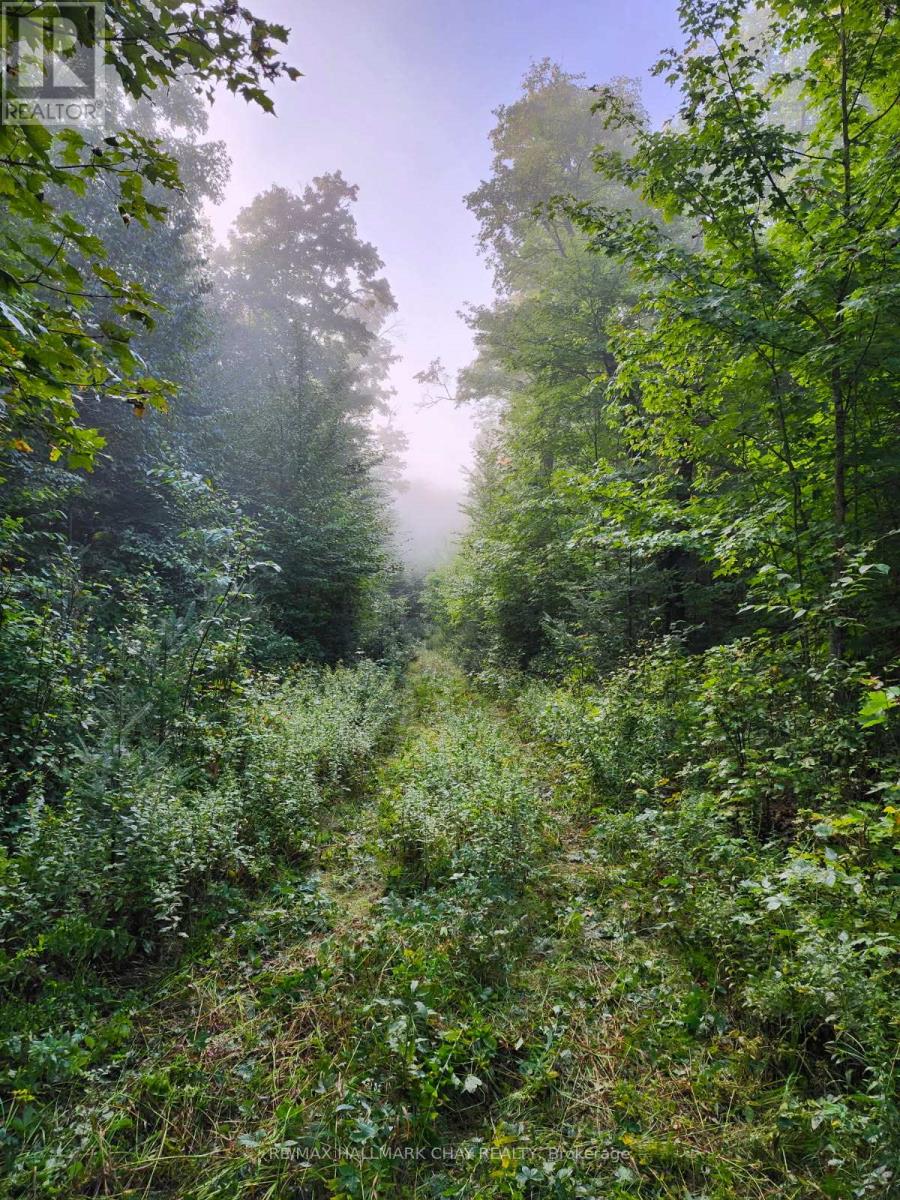 Pt Lots 24 & 25 Con 5 Concession, Ryerson, Ontario  P0A 1C0 - Photo 15 - X12571384