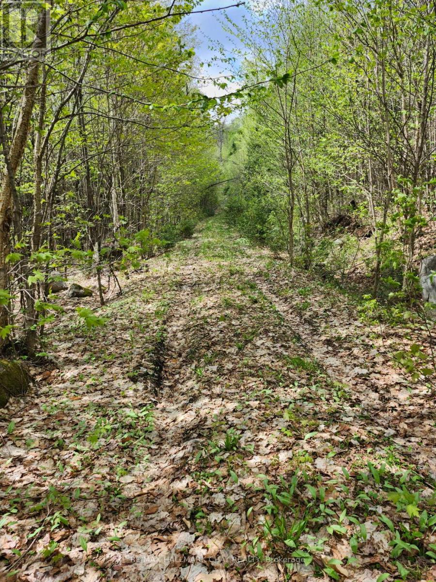 Pt Lots 24 & 25 Con 5 Concession, Ryerson, Ontario  P0A 1C0 - Photo 16 - X12571384