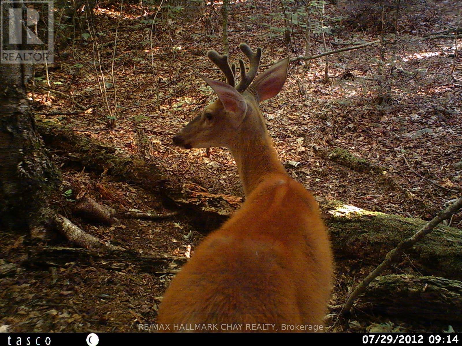 Pt Lots 24 & 25 Con 5 Concession, Ryerson, Ontario  P0A 1C0 - Photo 17 - X12571384