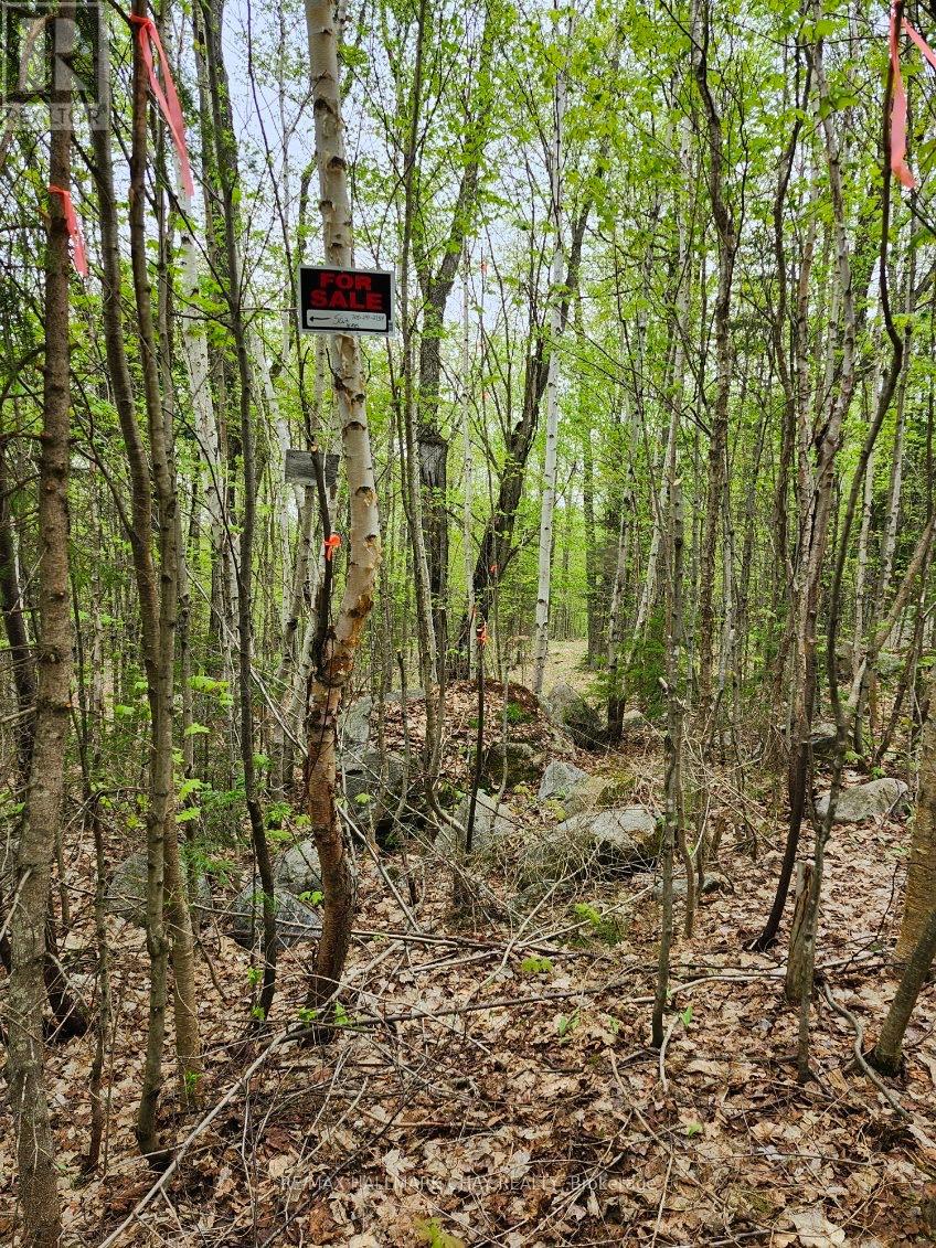 Pt Lots 24 & 25 Con 5 Concession, Ryerson, Ontario  P0A 1C0 - Photo 18 - X12571384