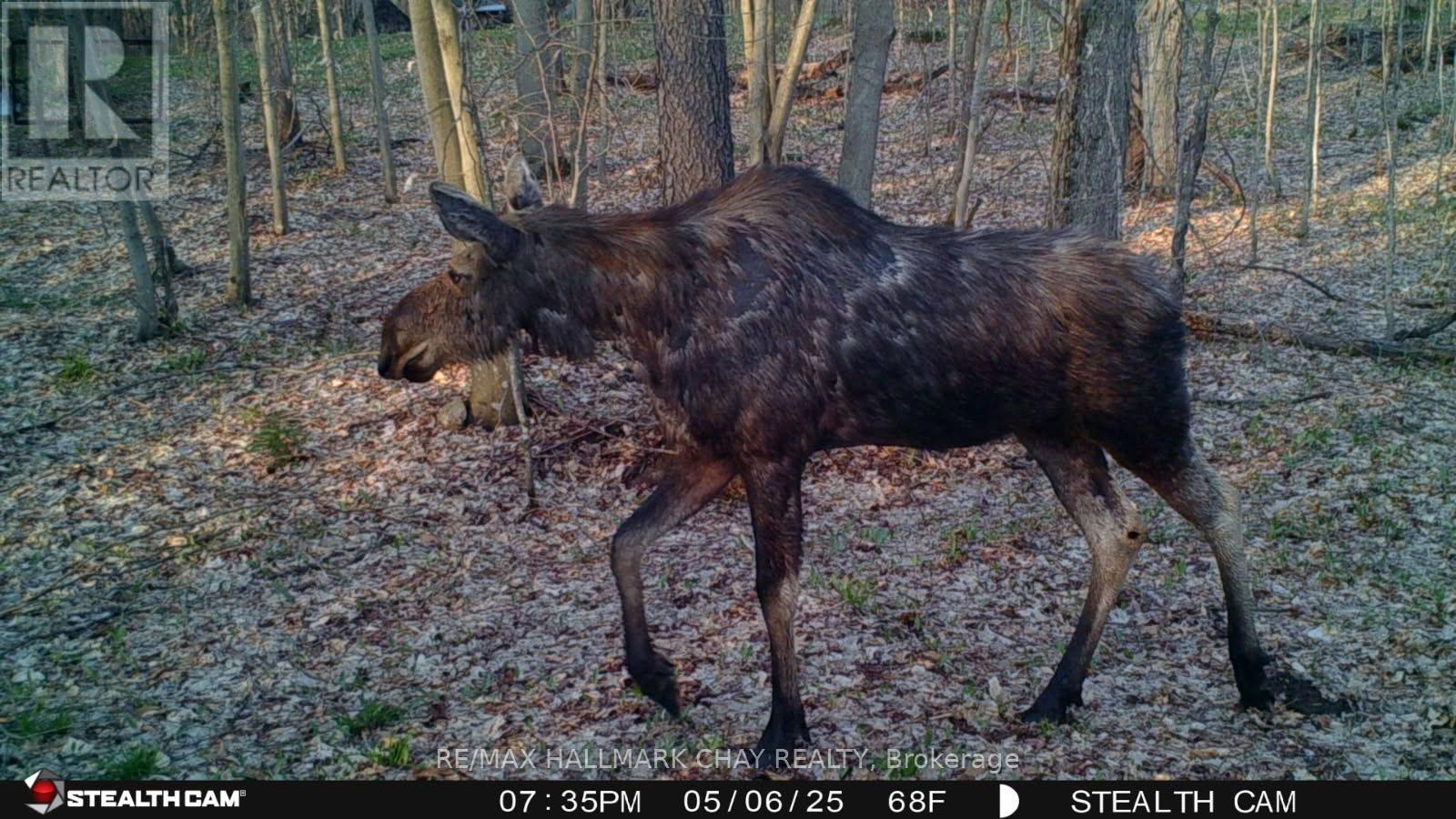 Pt Lots 24 & 25 Con 5 Concession, Ryerson, Ontario  P0A 1C0 - Photo 19 - X12571384