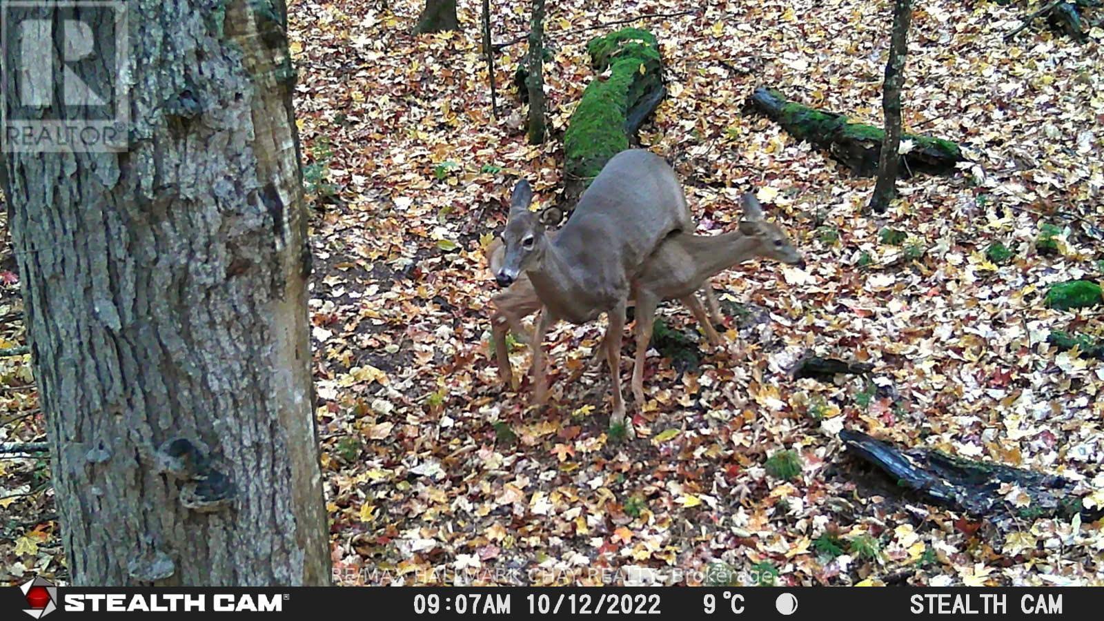 Pt Lots 24 & 25 Con 5 Concession, Ryerson, Ontario  P0A 1C0 - Photo 21 - X12571384