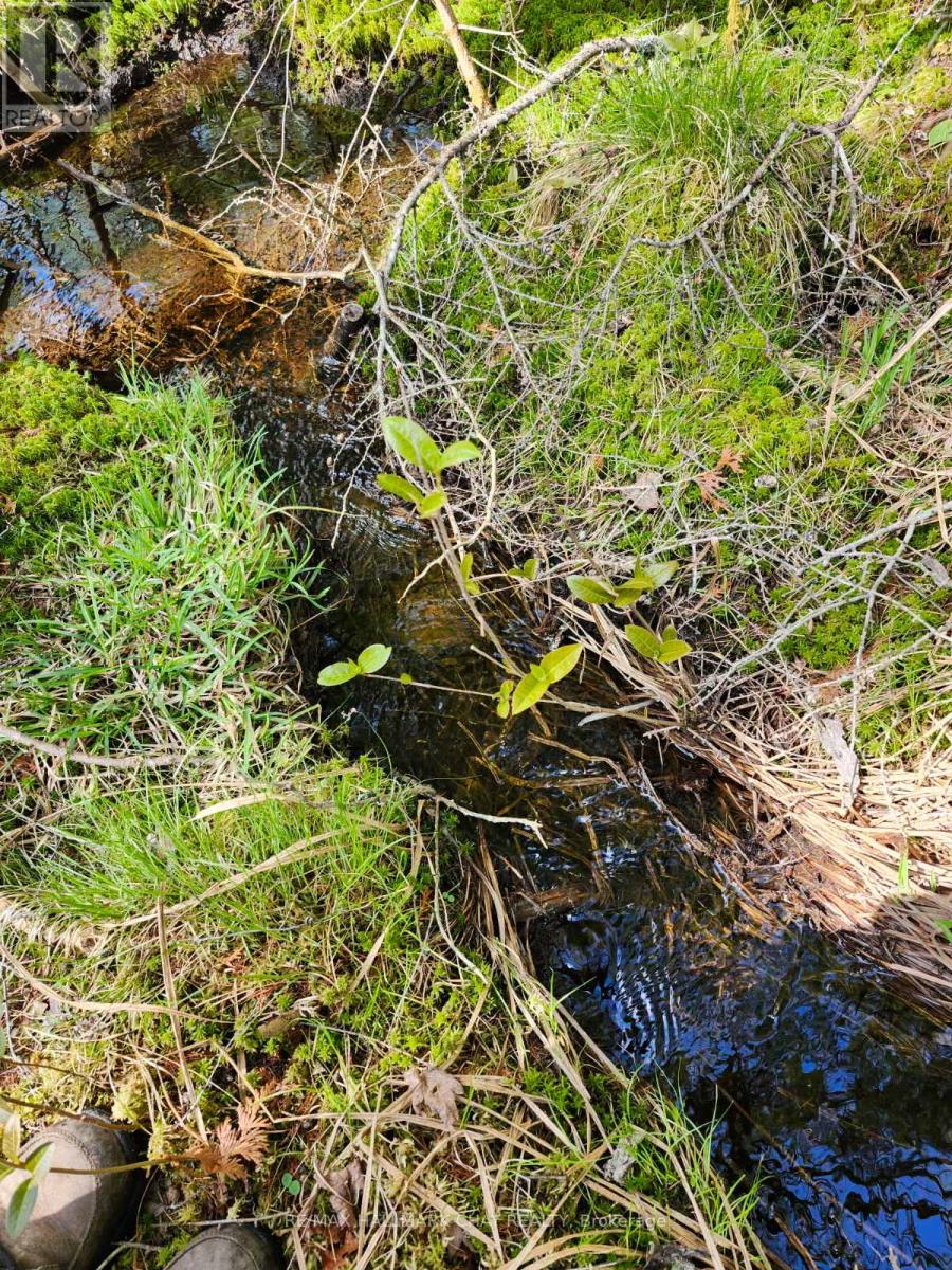 Pt Lots 24 & 25 Con 5 Concession, Ryerson, Ontario  P0A 1C0 - Photo 23 - X12571384