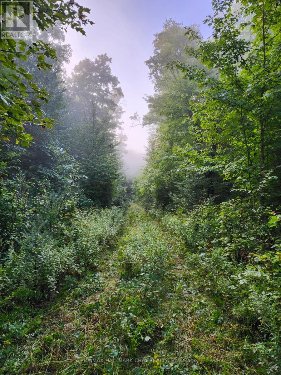 Pt Lots 24 & 25 Con 5 Concession, Ryerson, Ontario  P0A 1C0 - Photo 24 - X12571384