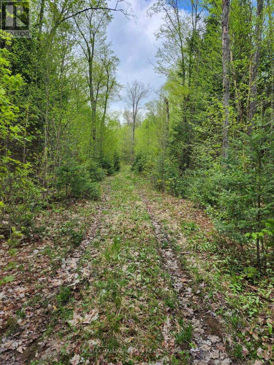 Pt Lots 24 & 25 Con 5 Concession, Ryerson, Ontario  P0A 1C0 - Photo 25 - X12571384