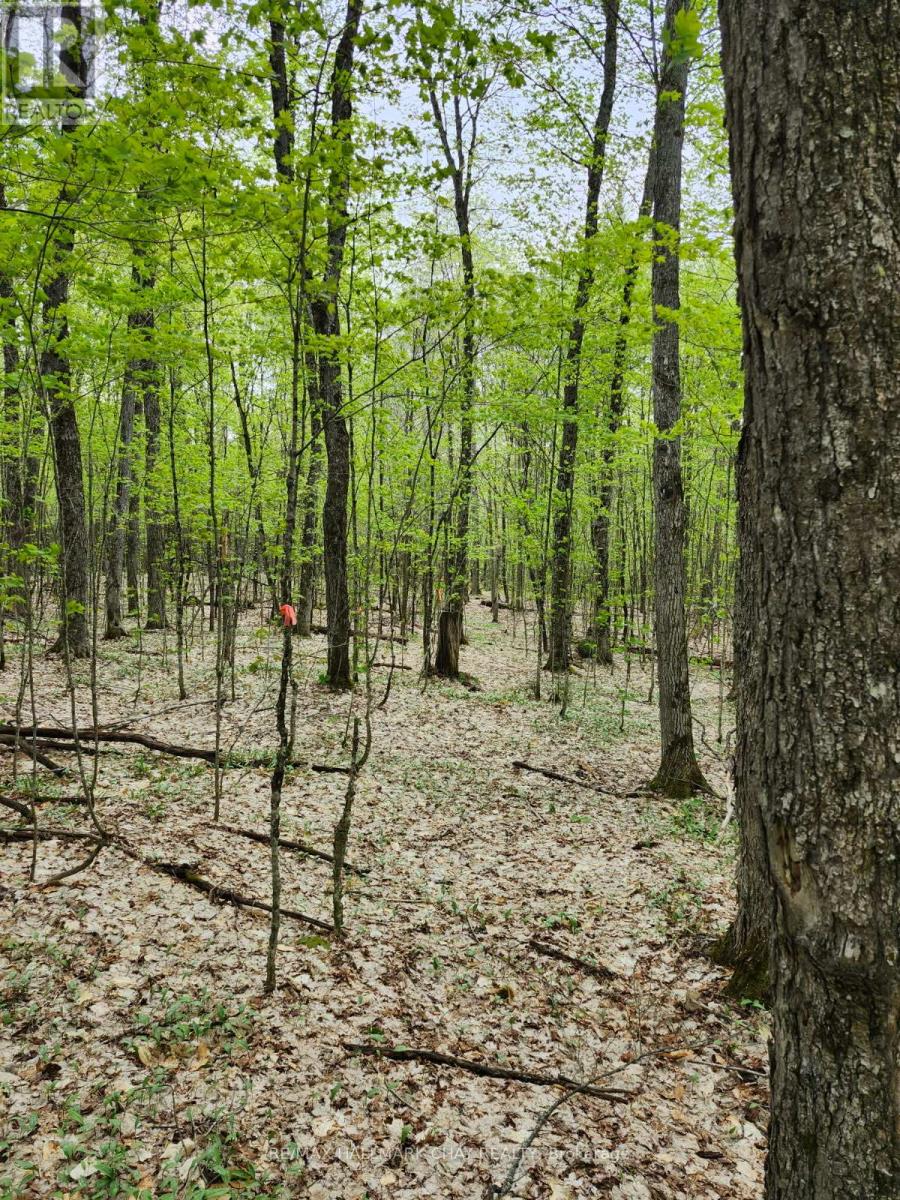 Pt Lots 24 & 25 Con 5 Concession, Ryerson, Ontario  P0A 1C0 - Photo 27 - X12571384