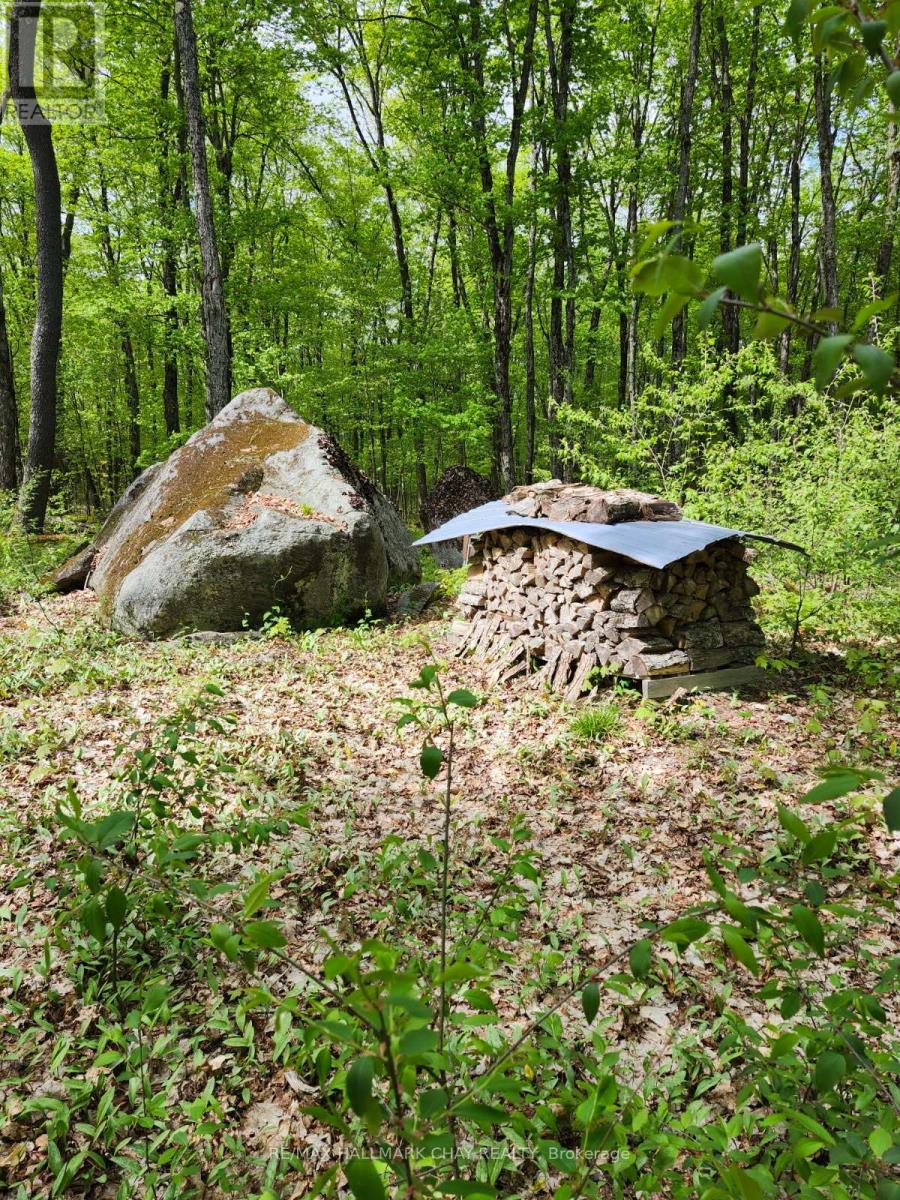 Pt Lots 24 & 25 Con 5 Concession, Ryerson, Ontario  P0A 1C0 - Photo 28 - X12571384