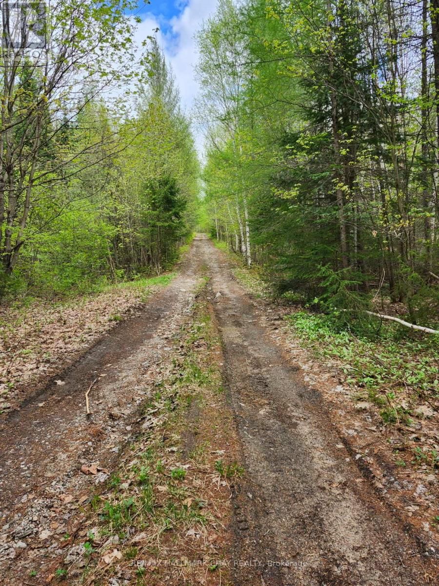 Pt Lots 24 & 25 Con 5 Concession, Ryerson, Ontario  P0A 1C0 - Photo 3 - X12571384