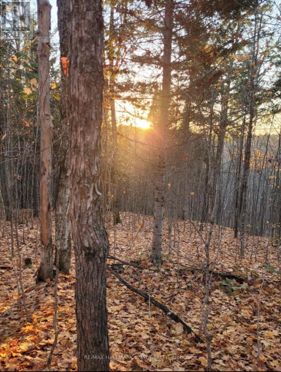 Pt Lots 24 & 25 Con 5 Concession, Ryerson, Ontario  P0A 1C0 - Photo 5 - X12571384