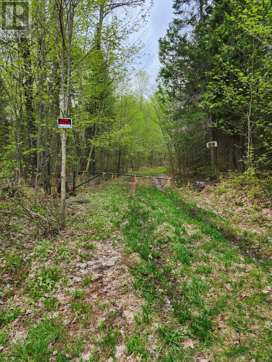 Pt Lots 24 & 25 Con 5 Concession, Ryerson, Ontario  P0A 1C0 - Photo 6 - X12571384