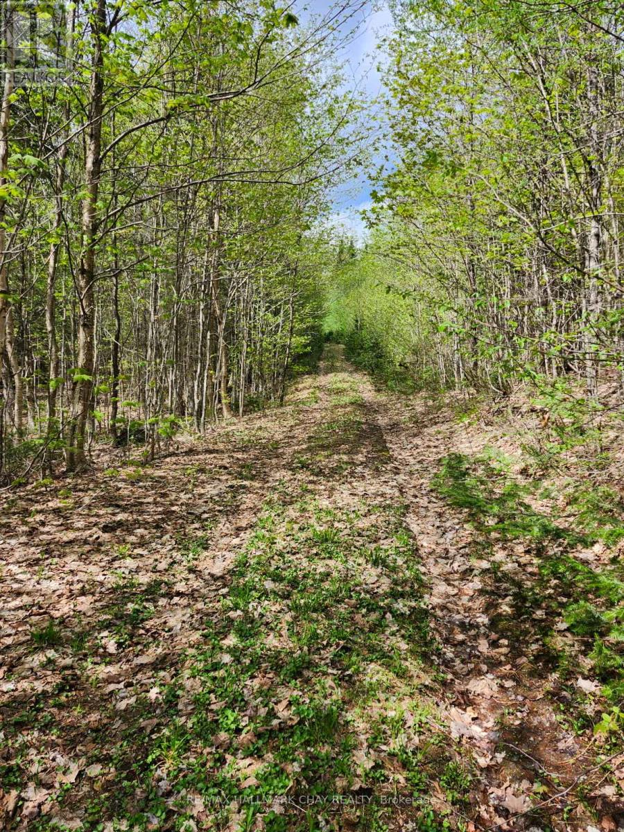 Pt Lots 24 & 25 Con 5 Concession, Ryerson, Ontario  P0A 1C0 - Photo 7 - X12571384