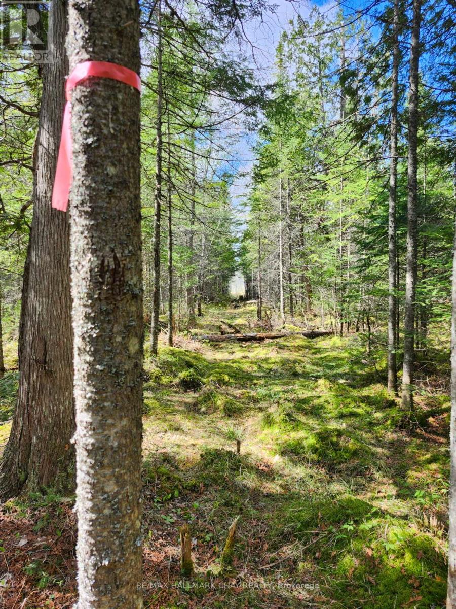 Pt Lots 24 & 25 Con 5 Concession, Ryerson, Ontario  P0A 1C0 - Photo 8 - X12571384