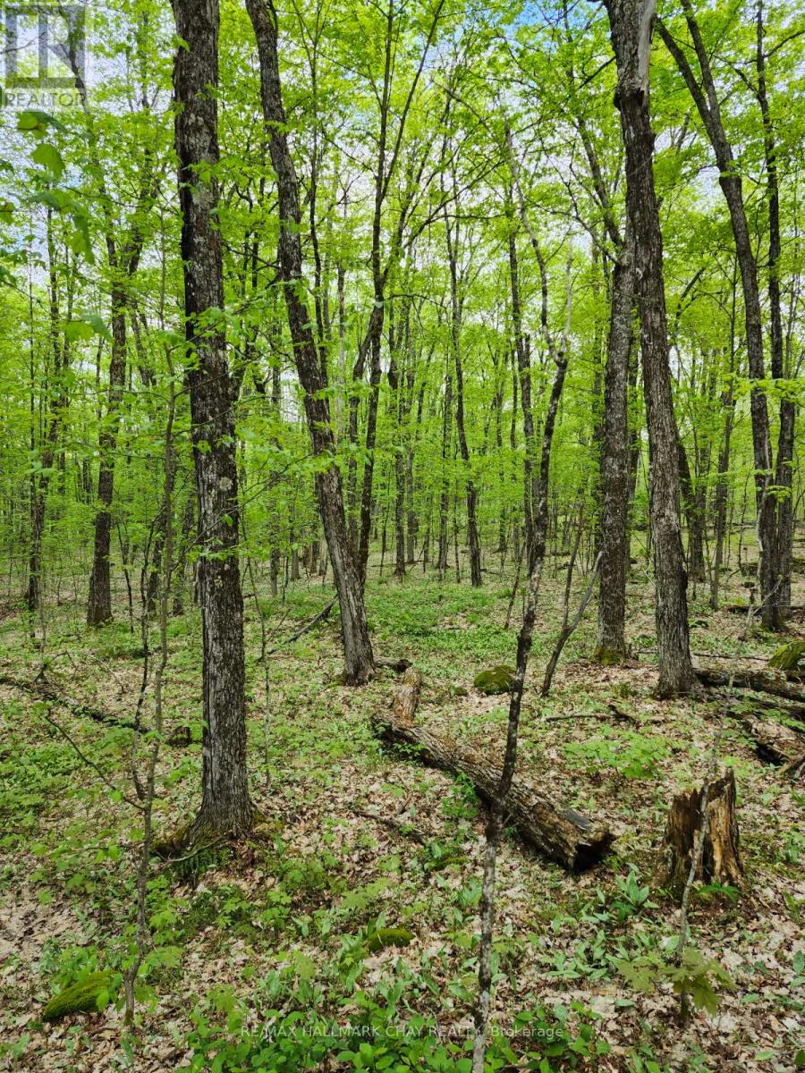 Pt Lots 24 & 25 Con 5 Concession, Ryerson, Ontario  P0A 1C0 - Photo 9 - X12571384