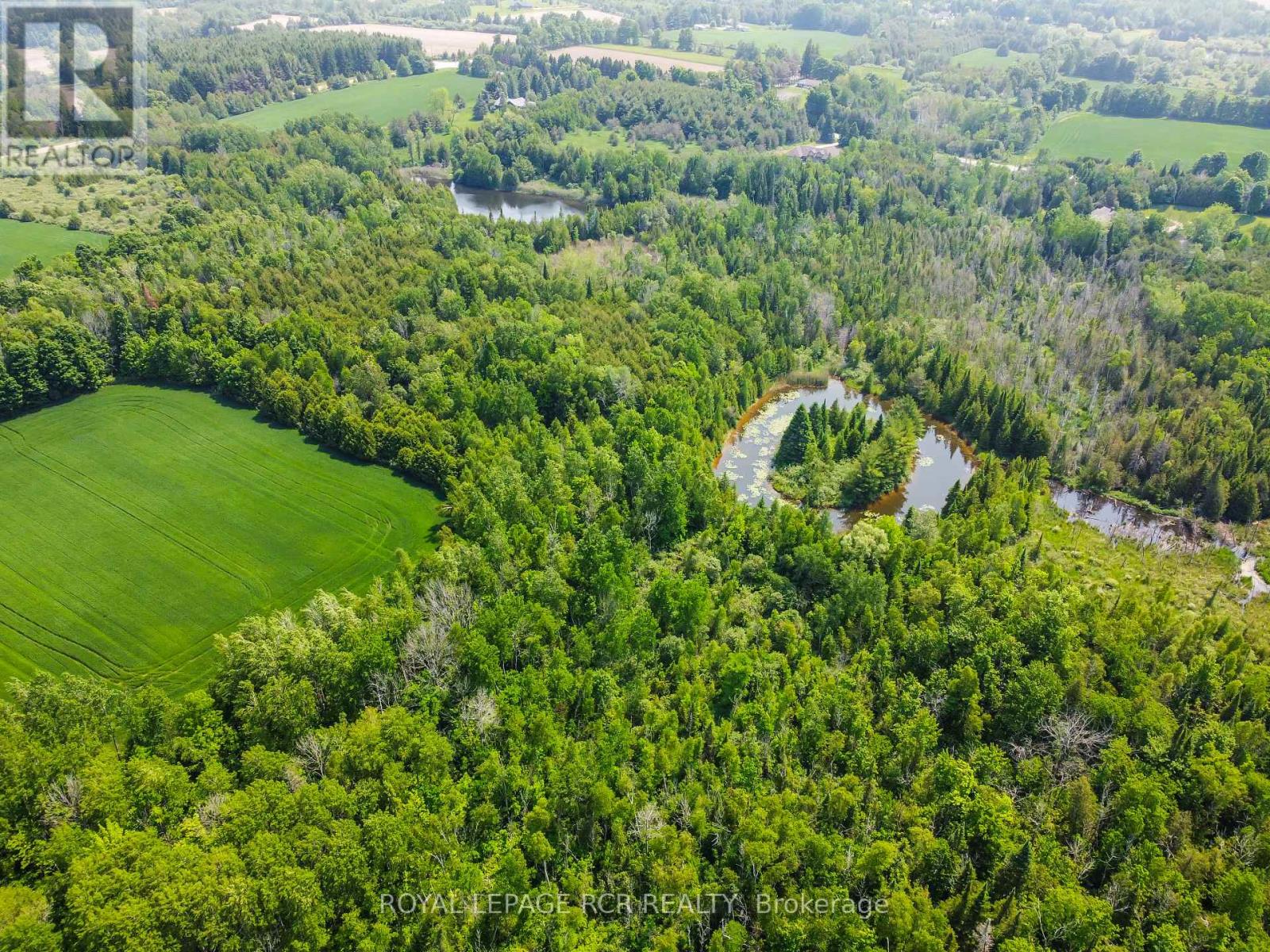 19455 Shaws Creek Road, Caledon, Ontario  L7K 1L5 - Photo 41 - W12383326