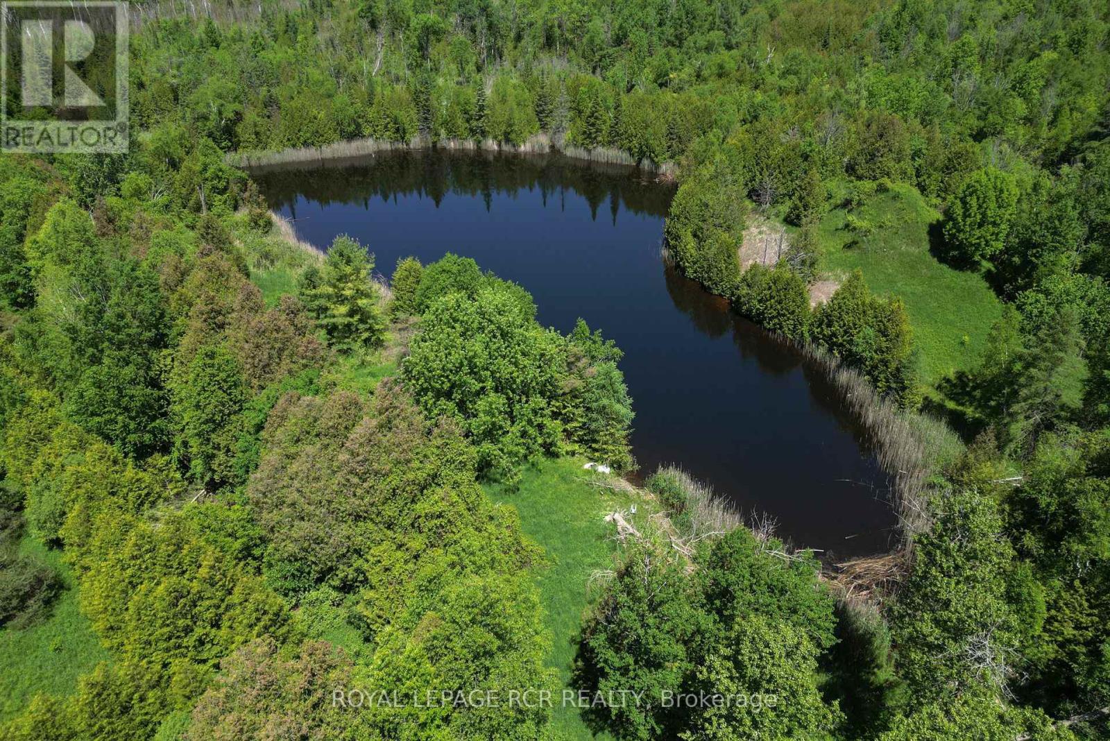 19455 Shaws Creek Road, Caledon, Ontario  L7K 1L5 - Photo 36 - W12383326