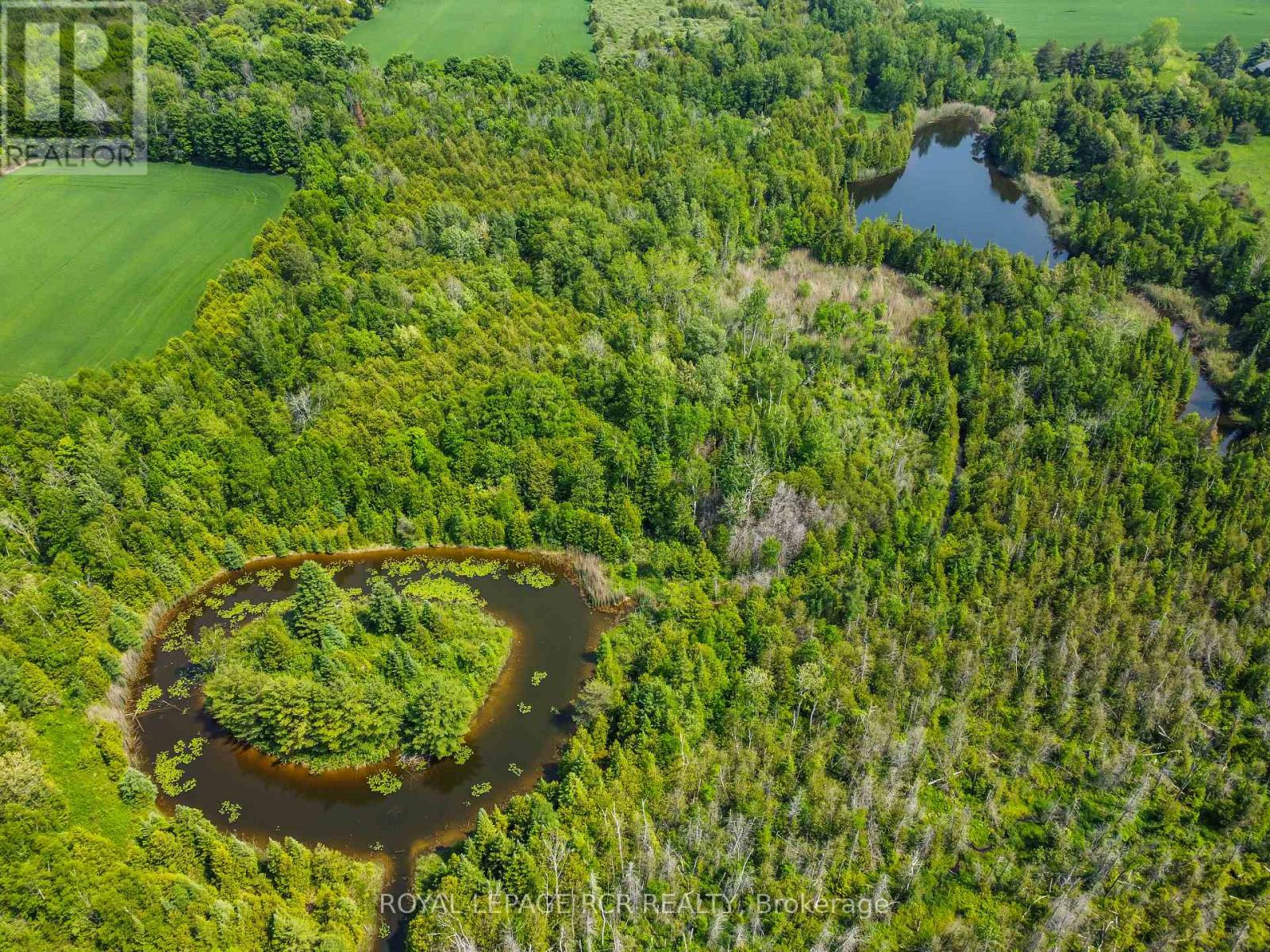 19455 Shaws Creek Road, Caledon, Ontario  L7K 1L5 - Photo 40 - W12383326