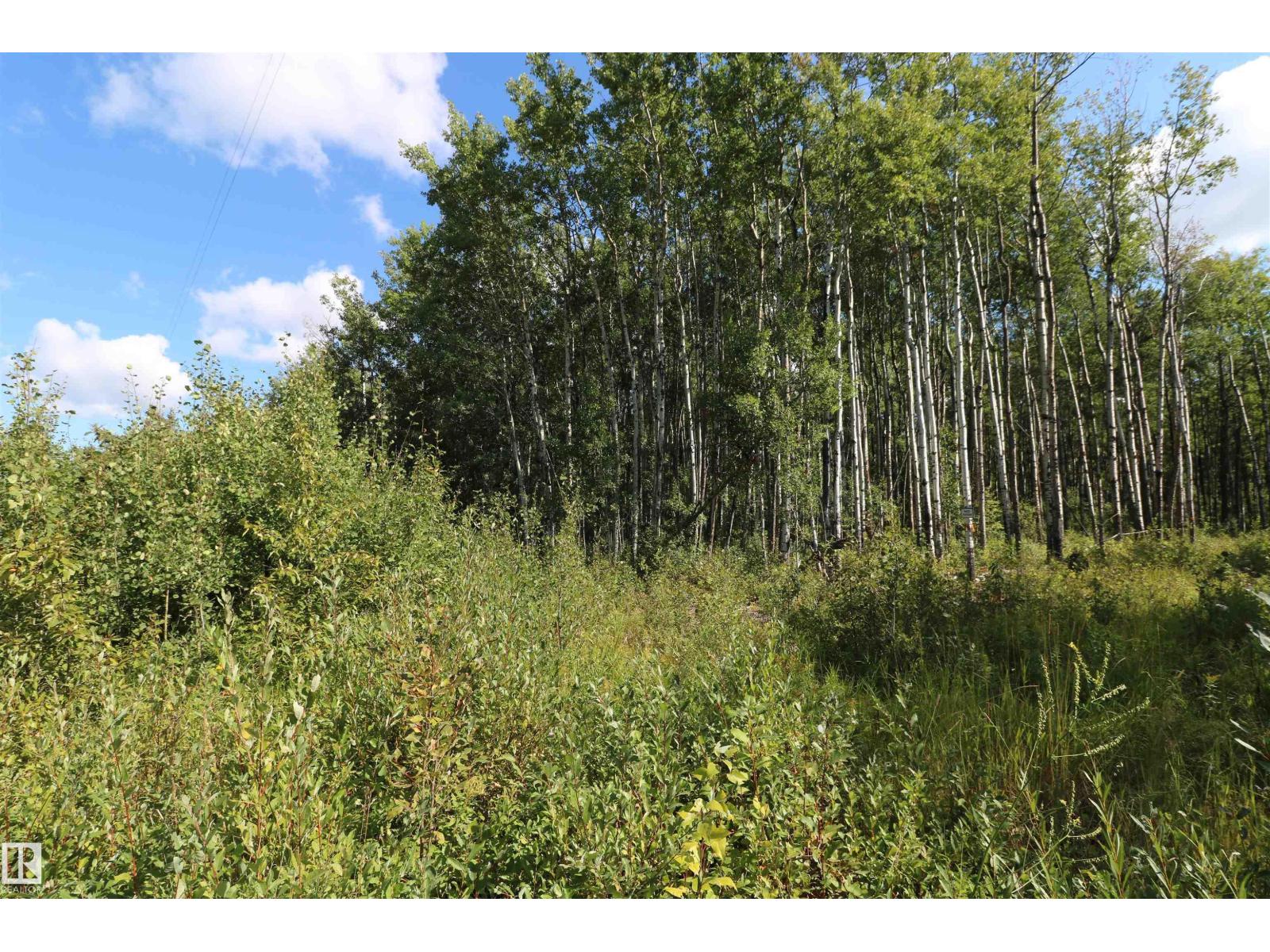 56211a Range Rd 25, Rural Lac Ste. Anne County, Alberta  T0E 1A0 - Photo 4 - E4466524