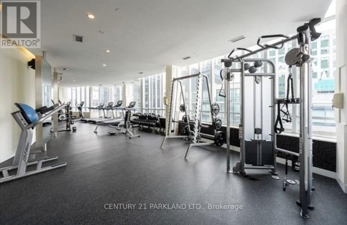 325 - 270 Wellington Street W, Toronto, Ontario  M5V 3P5 - Photo 8 - C12571786