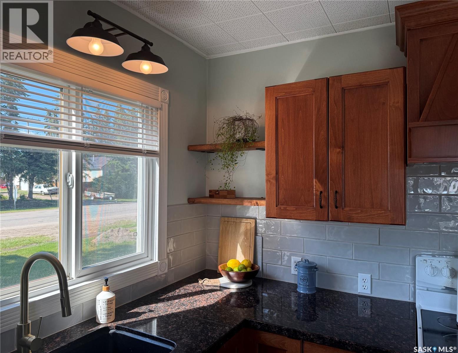 307 1st Avenue, St. Walburg, Saskatchewan  S0M 2T0 - Photo 8 - SK024605