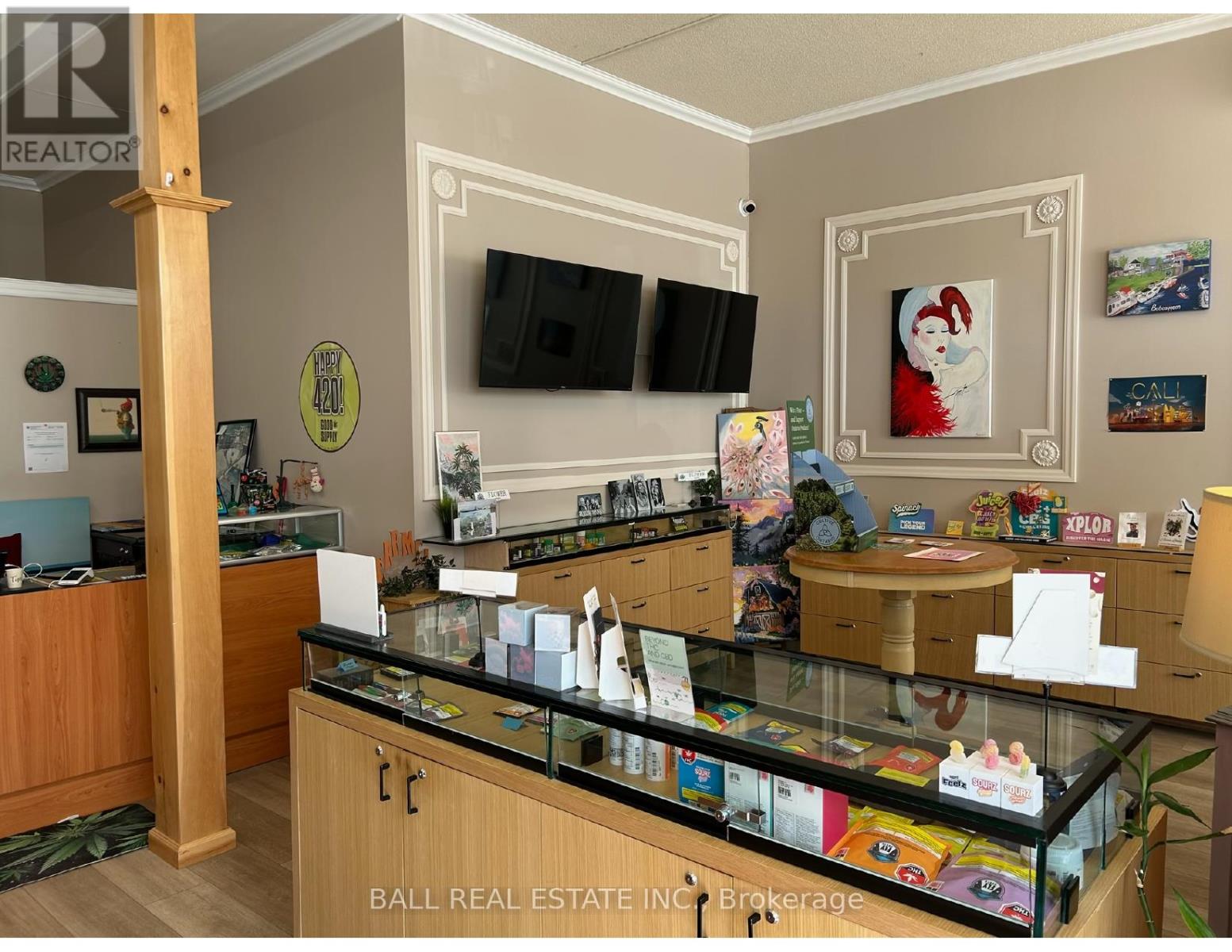 48 Main Street, Kawartha Lakes, Ontario  K0M 1A0 - Photo 4 - X12572014