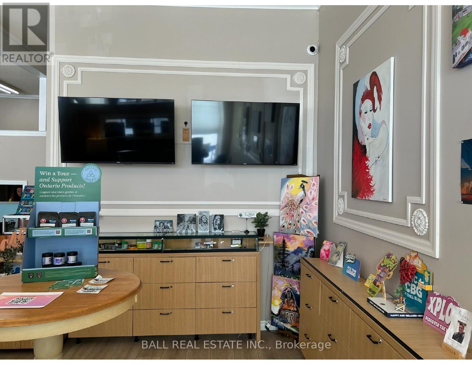 48 Main Street, Kawartha Lakes, Ontario  K0M 1A0 - Photo 5 - X12572014