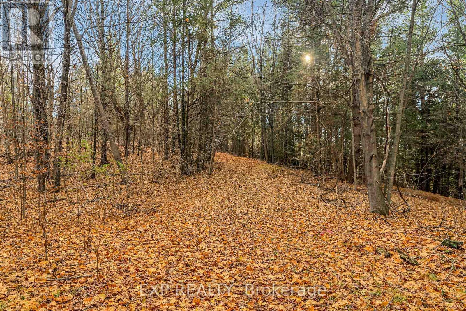 266 School House Road, Centre Hastings, Ontario  K0K 3E0 - Photo 49 - X12572116