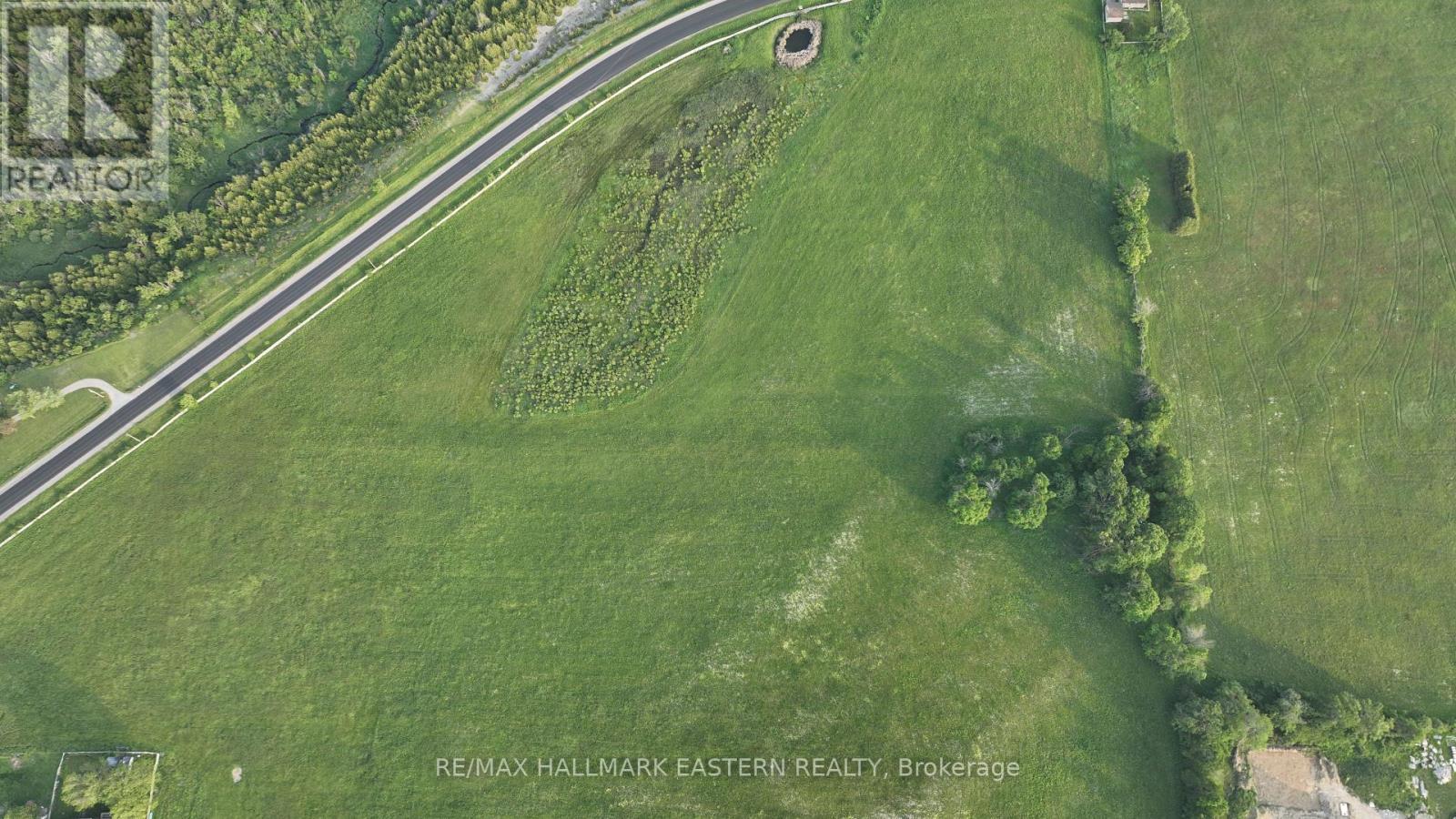 1412 Nassau Road, Douro-Dummer, Ontario  K9J 6Y1 - Photo 4 - X12572244