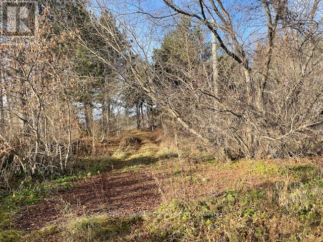 3678 Mccarthy Drive, Clearview, Ontario  L0M 1N0 - Photo 3 - S12572162