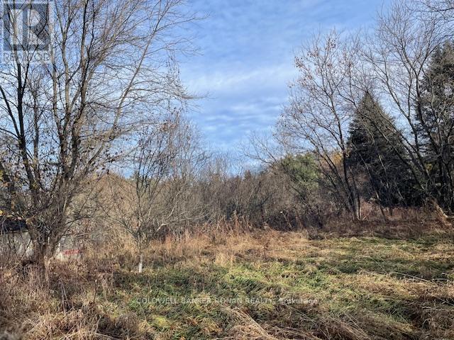 3678 Mccarthy Drive, Clearview, Ontario  L0M 1N0 - Photo 4 - S12572162