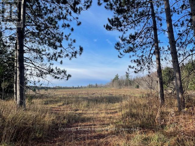 3678 Mccarthy Drive, Clearview, Ontario  L0M 1N0 - Photo 5 - S12572162