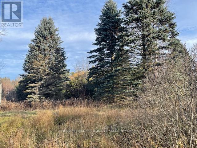 3678 Mccarthy Drive, Clearview, Ontario  L0M 1N0 - Photo 6 - S12572162