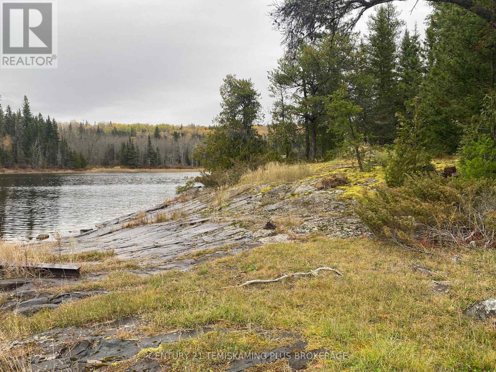 1 Weekes Island, Englehart, Ontario  P0J 1H0 - Photo 29 - T12483301