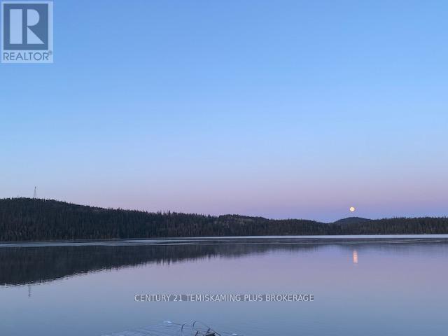 1 Weekes Island, Englehart, Ontario  P0J 1H0 - Photo 44 - T12483301