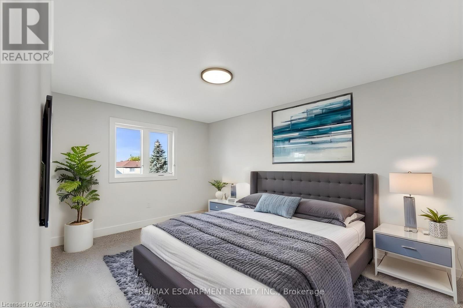 1313 Baseline Road, Hamilton, Ontario  L8E 5G1 - Photo 25 - X12570992