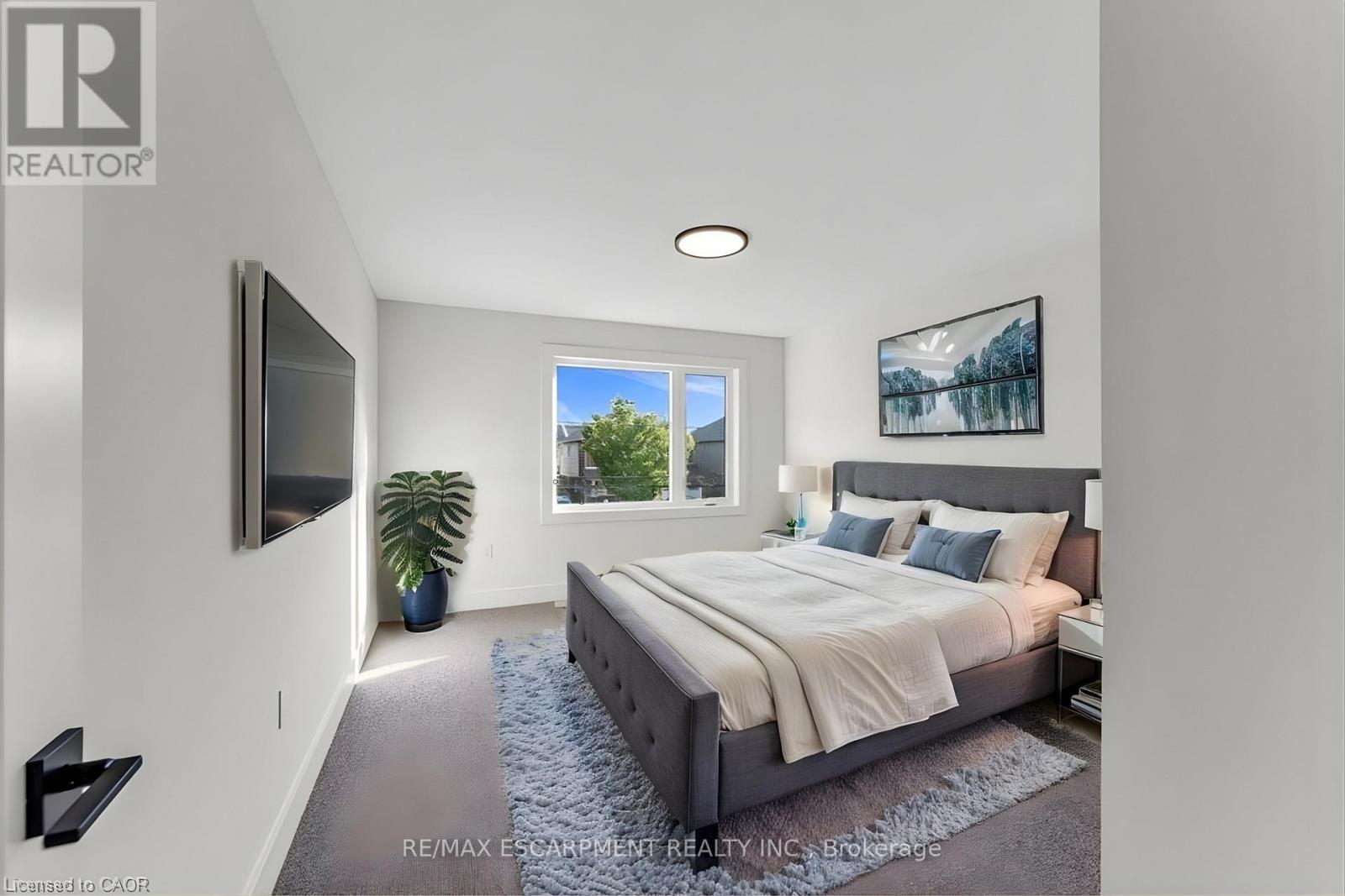 1313 Baseline Road, Hamilton, Ontario  L8E 5G1 - Photo 23 - X12570992