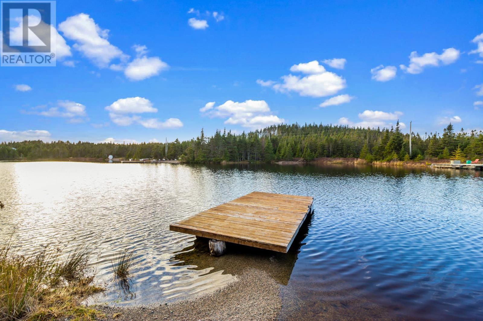 5 Ryans Pond East Road, Brigus Junction, Newfoundland & Labrador  A0B 1G0 - Photo 20 - 1292854