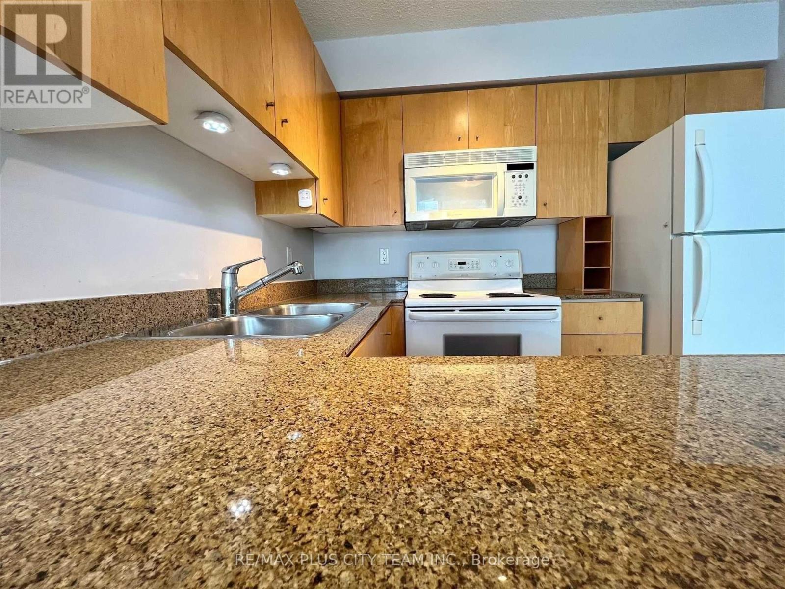 1103 - 381 Front Street W, Toronto, Ontario  M5V 3R8 - Photo 8 - C12572514